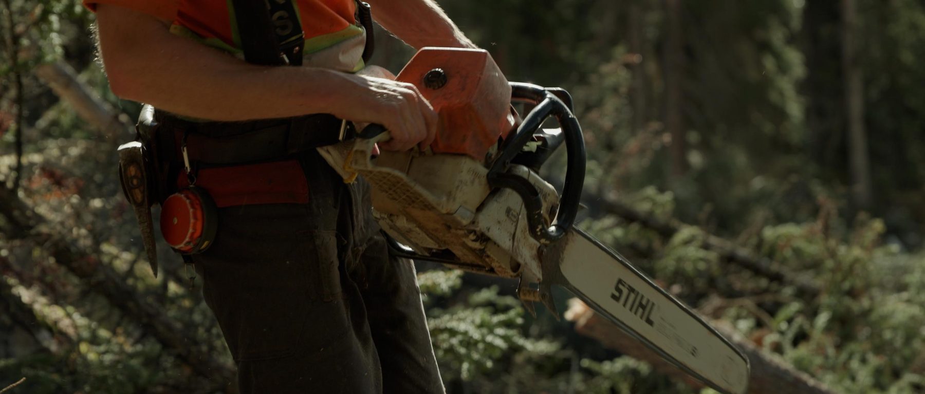 Faller holding a chainsaw in the bush