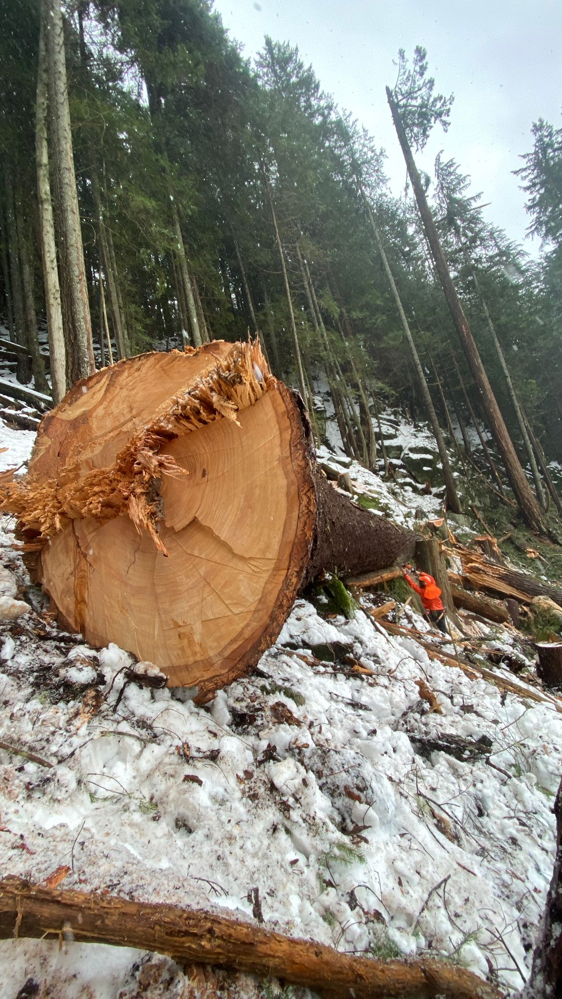 Hand Falling Production Environment